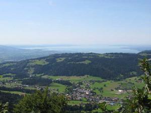 Blick vom Brüggelekopf auf Alberschwende und Bodensee
